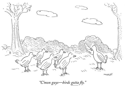 "C'mon guys—birds gotta ﬂy."