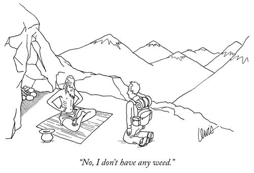 "No, I don't have any weed."