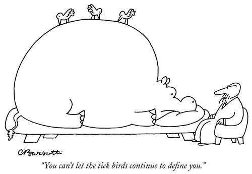 "You can't let the tick birds continue to define you."