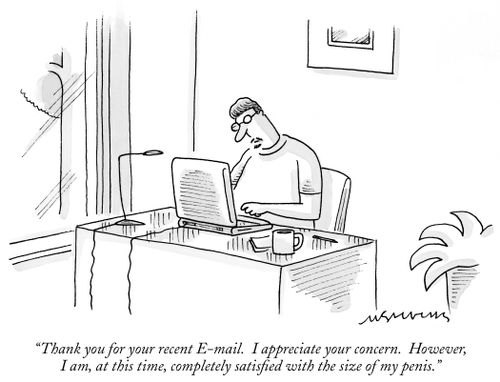 "Thank you for your recent E-mail. However, I am completely satisfied with the size of my penis."