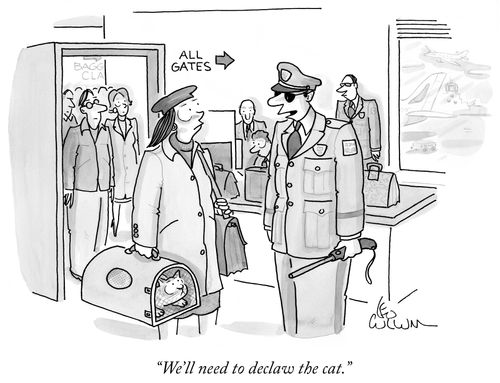 "We'll need to declaw the cat."