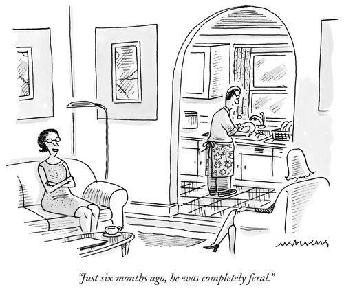 "Just six months ago, he was completely feral."
