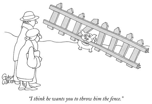 "I think he wants you to throw him the fence."