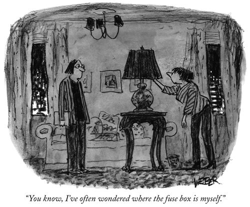 "You know, I've often wondered where the fuse box is myself."