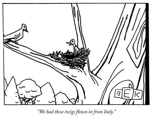 "We had these twigs flown in from Italy."