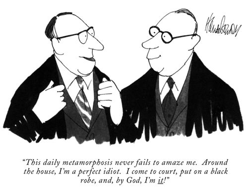 “This daily metamorphosis never fails to amaze me. Around the house, I’m a perfect idiot. I come to court, futon a black robe, and, by God, I’m it!” 