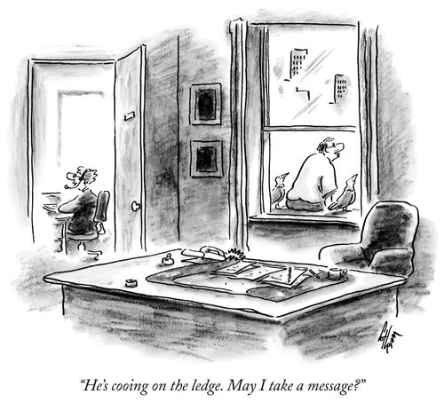 "He's cooing on the ledge. May I take a message?"