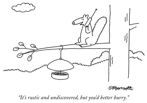 "It's rustic and undiscovered, but you'd better hurry."