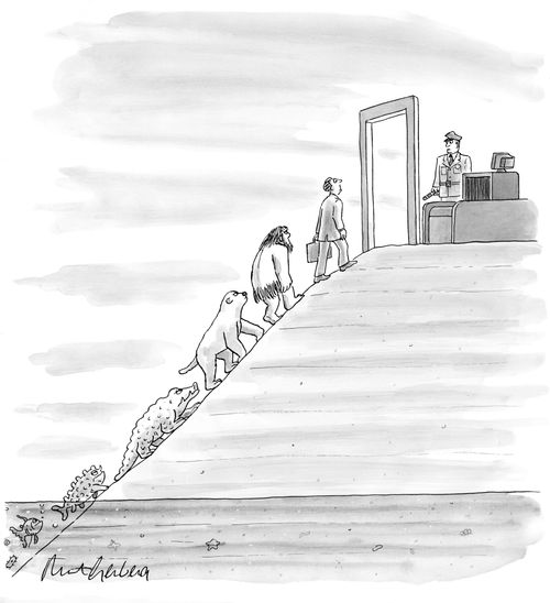 Human Evolution