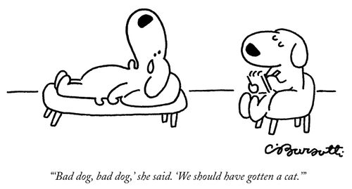 "'Bad dog, bad dog,' she said. 'We should have gotten a cat."