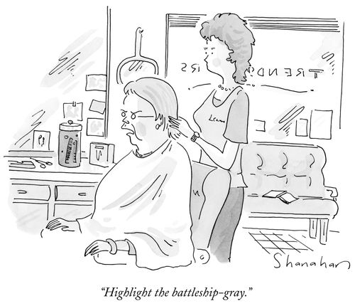 "Highlight the battleship-gray."