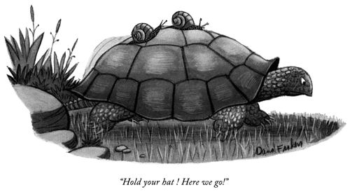"Hold your hat ! Here we go!"