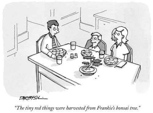 "The tiny red things were harvested from Frankie's bonsai tree."