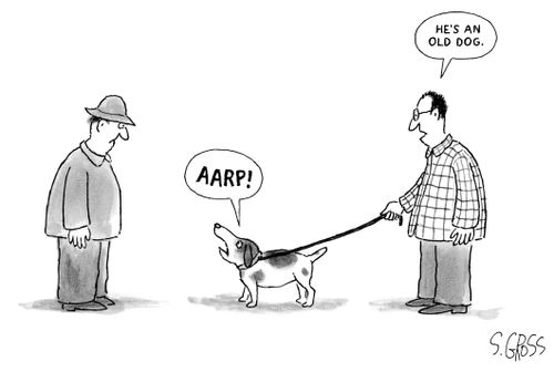 "He's an old dog."