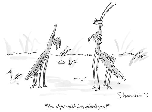 "You slept with her, didn't you?"