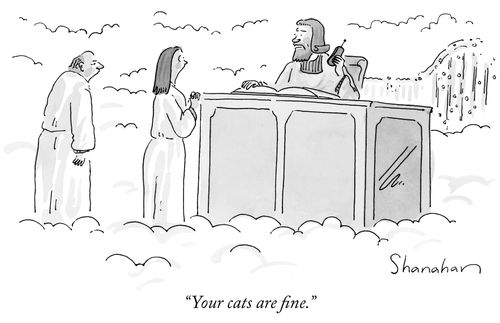 "Your cats are fine."