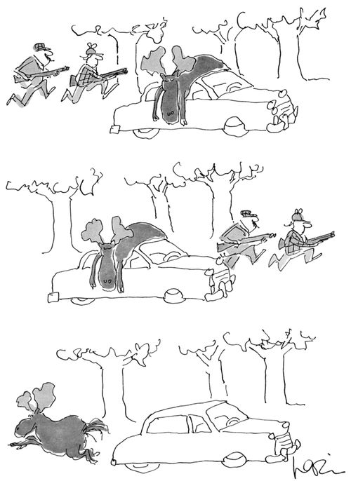 Moose hunting