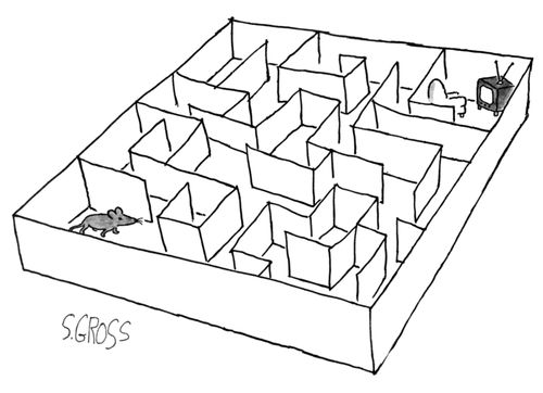 A mouse searches for his television and easy chair in a maze.
