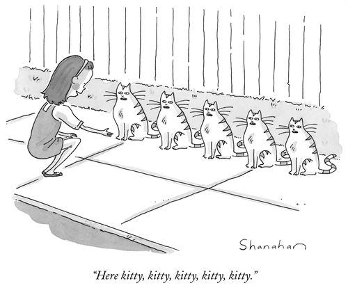 "Here kitty, kitty, kitty, kitty, kitty."