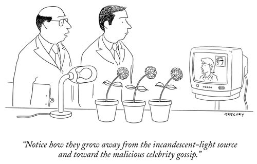 "Notice how they grow away from the incandescent-light source and towards the malicious celebrity gossip."
