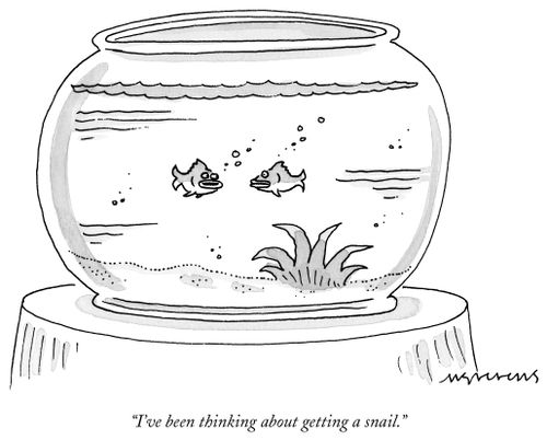"I've been thinking about getting a snail."