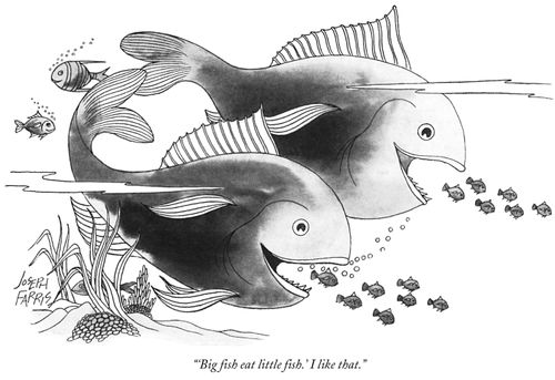 "'Big fish eat little fish.' I like that."
