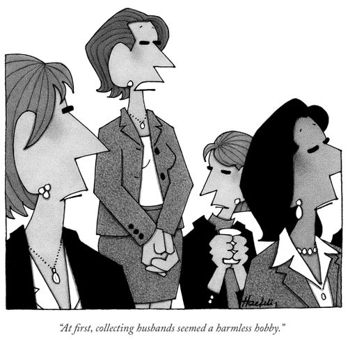 "At first, collecting husbands seemed a harmless hobby."