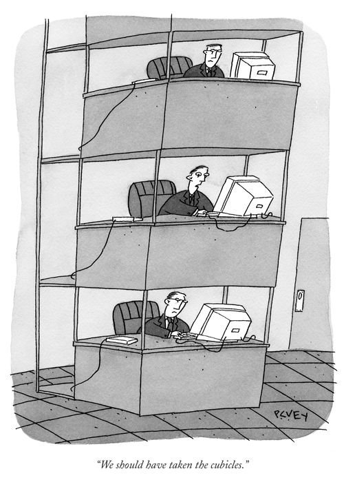 "We should have taken the cubicles."