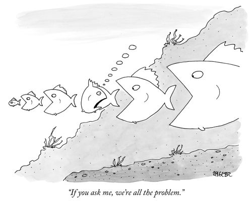 "If you ask me, we're all the problem."