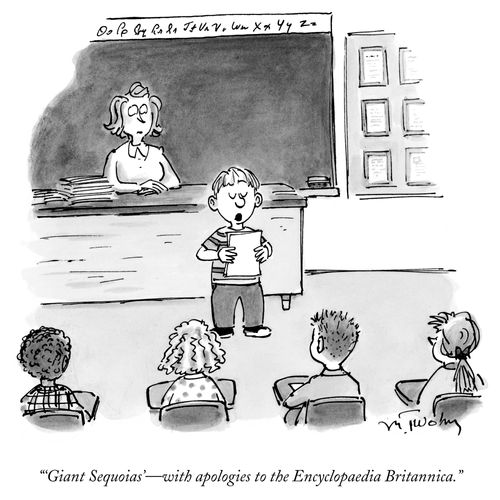 "Giant Sequoias'- with apologies to the Encyclopedia Britannica."