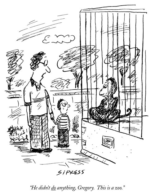 "He didn't do anything, Gregory. This is a zoo"