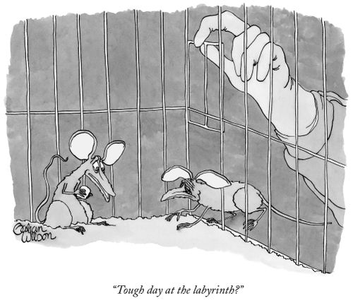 "Tough day at the labyrinth?"