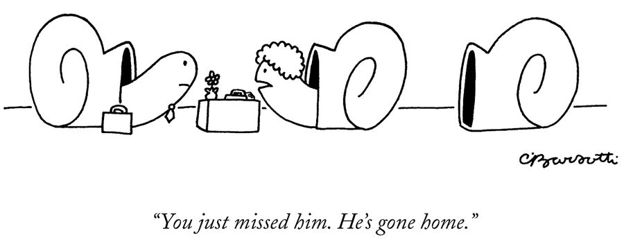 "You just missed him. He's gone home."