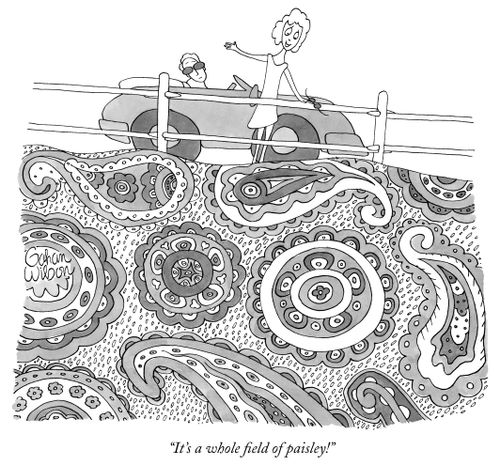 It's a Whole Field of Paisley!