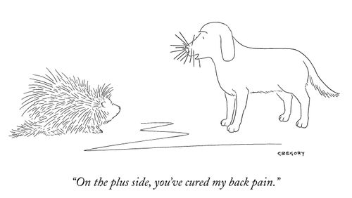 "On the plus side, you've cured my back pain."