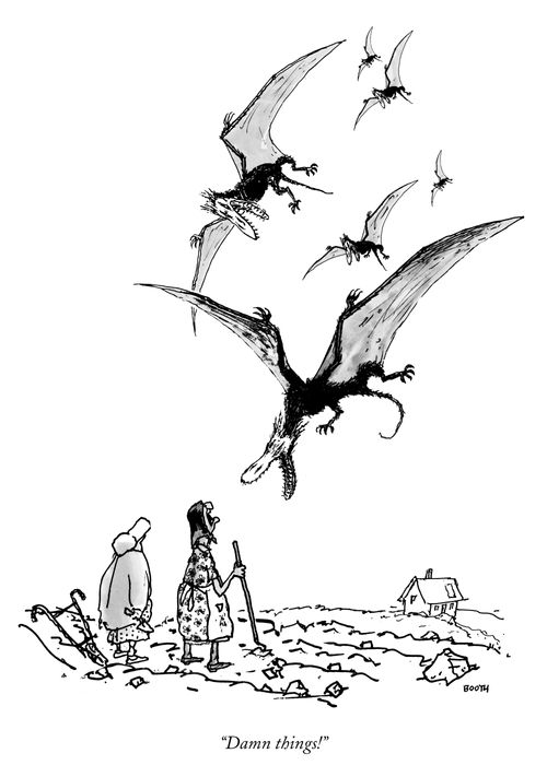 "Damn things!"