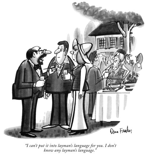 "I can't put it into layman's language for you. I don't know any layman's language."