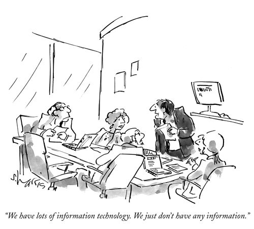 "We have lots of information technology. We just don't have any information."