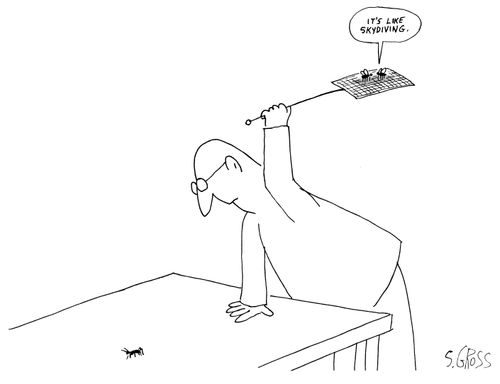 "It's like skydiving."