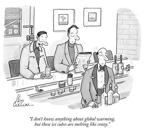 "I don't know anything about global warming, but these ice cubes are melting like crazy."