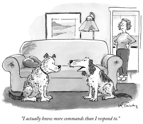 "I actually know more commands than I respond to."