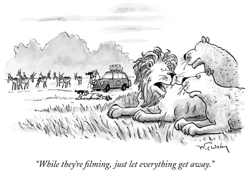 "While they're filming, just let everything get away."