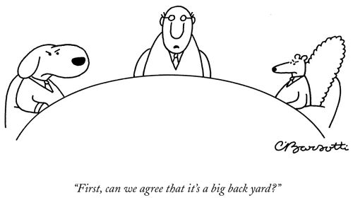 "First, can we agree that it's a big back yard?"