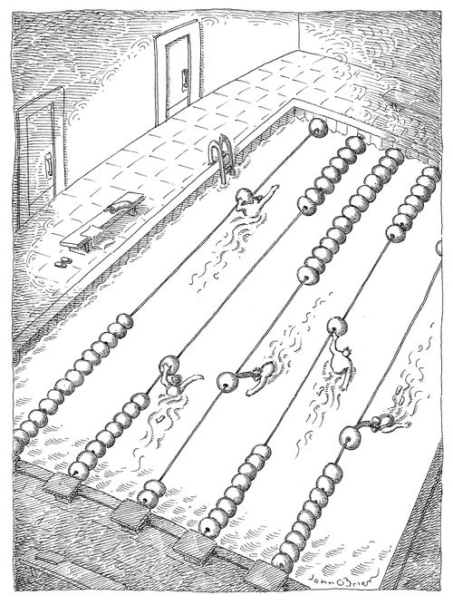An abacus swimming pool