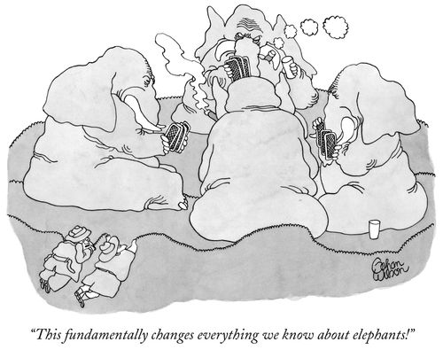 "This fundamentally changes everything we know about elephants!"