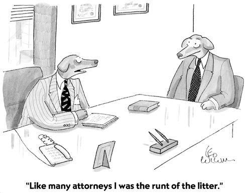 "Like many attorneys I was the runt of the litter."