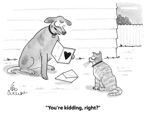 "You're kidding, right?"