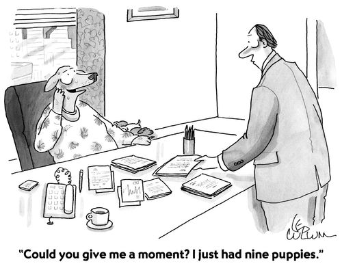 "Could you give me a moment> I just had nine puppies."