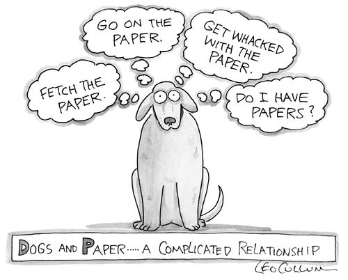 Dogs and Paper....a Complicated Relationship
