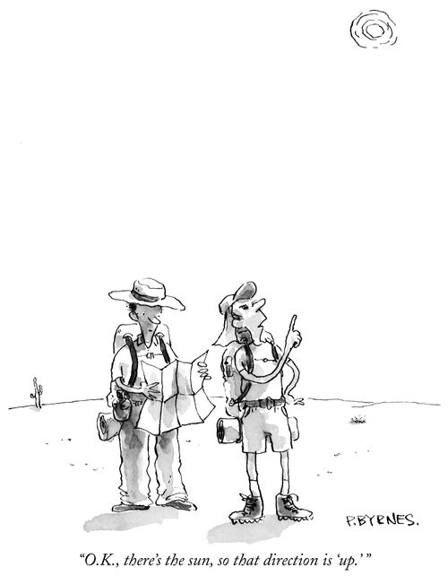 "O.K., there's the sun, so that direction is 'up'."